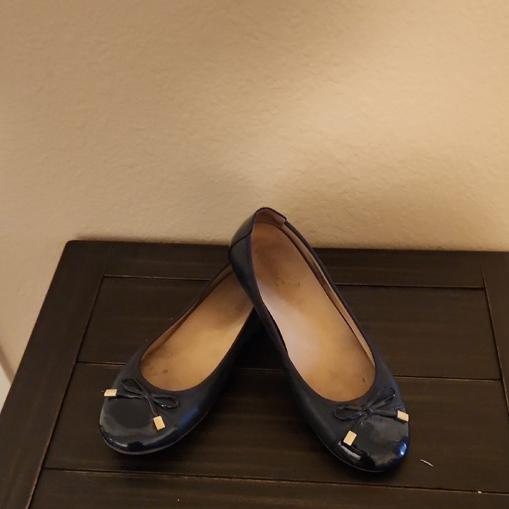 Elegant Navy Blue Ballet Flats